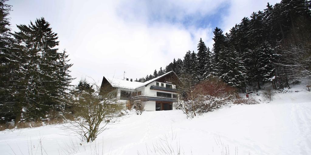 Hotel-Pension Zum Paradies Willingen (Upland) Exterior foto