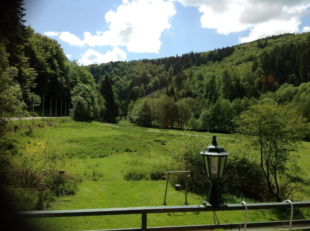 Hotel-Pension Zum Paradies Willingen (Upland) Exterior foto