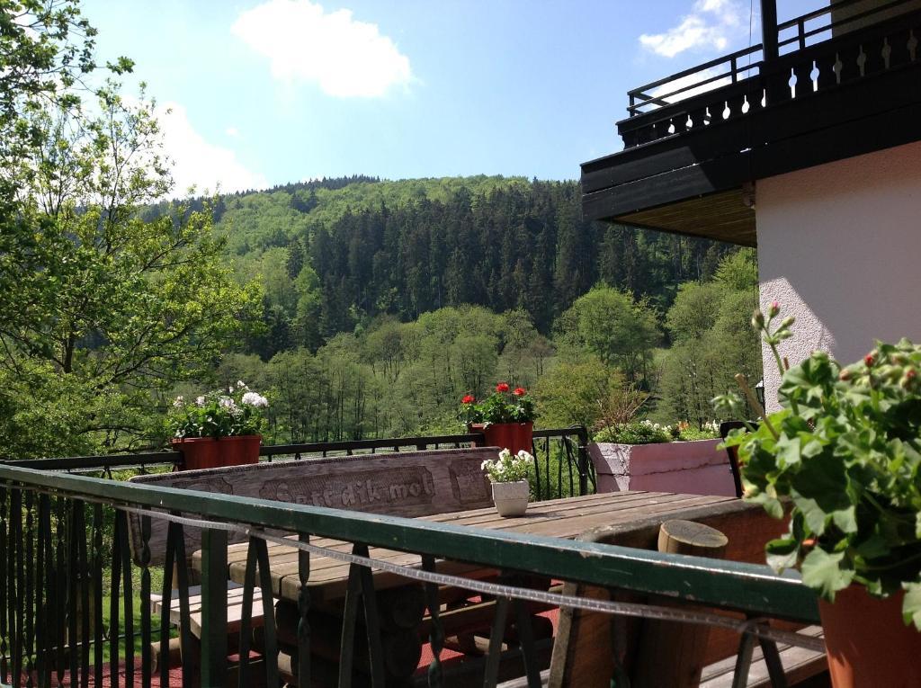 Hotel-Pension Zum Paradies Willingen (Upland) Exterior foto